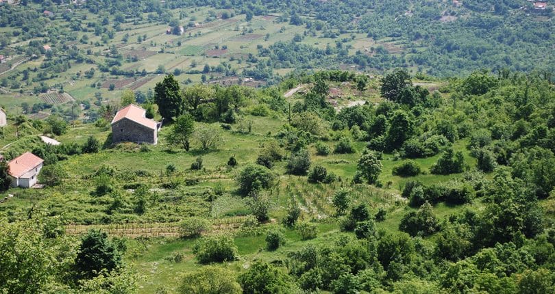 Belvedere Estate
