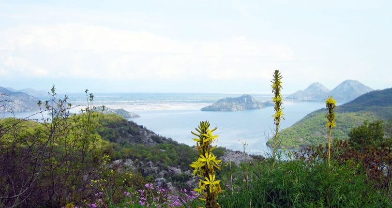 The Skadar Estate